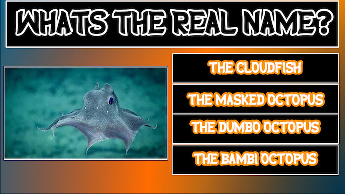 Frightful Face-Off: Deep Sea Edition image number null
